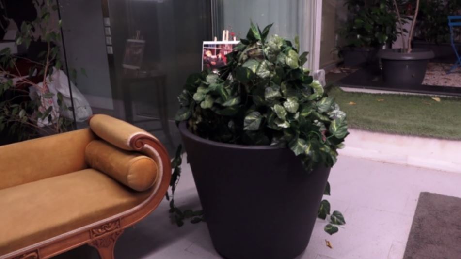 Οι ξεκαρδιστικές αντιδράσεις στην απρόβλεπτη… γλάστρα του «Πάμε Δανάη!»