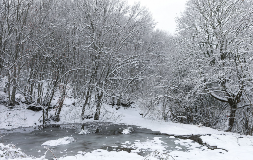 Καιρός: Πώς θα εξελιχθεί η «Avgi» – Χιόνια & τσουχτερό κρύο
