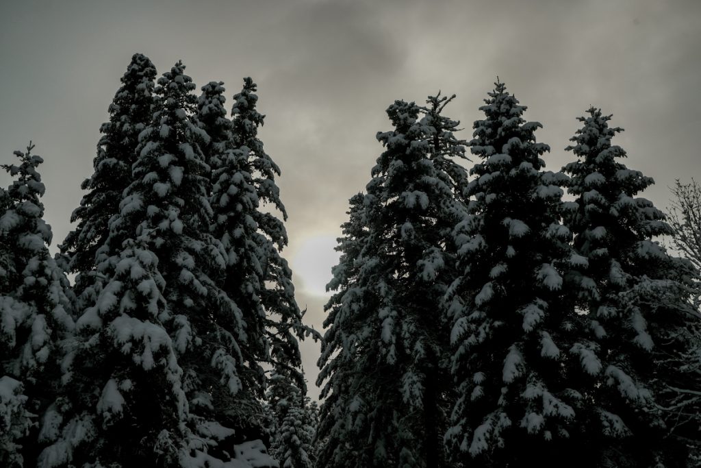 Καιρός: Στα λευκά «ντύθηκαν» ορεινές περιοχές της χώρας – Σε επιφυλακή η Αττική 
