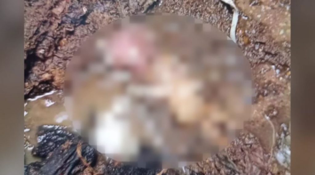 Αθήνα: Σοκ με έμβρυο που βρέθηκε νεκρό σε αποχέτευση