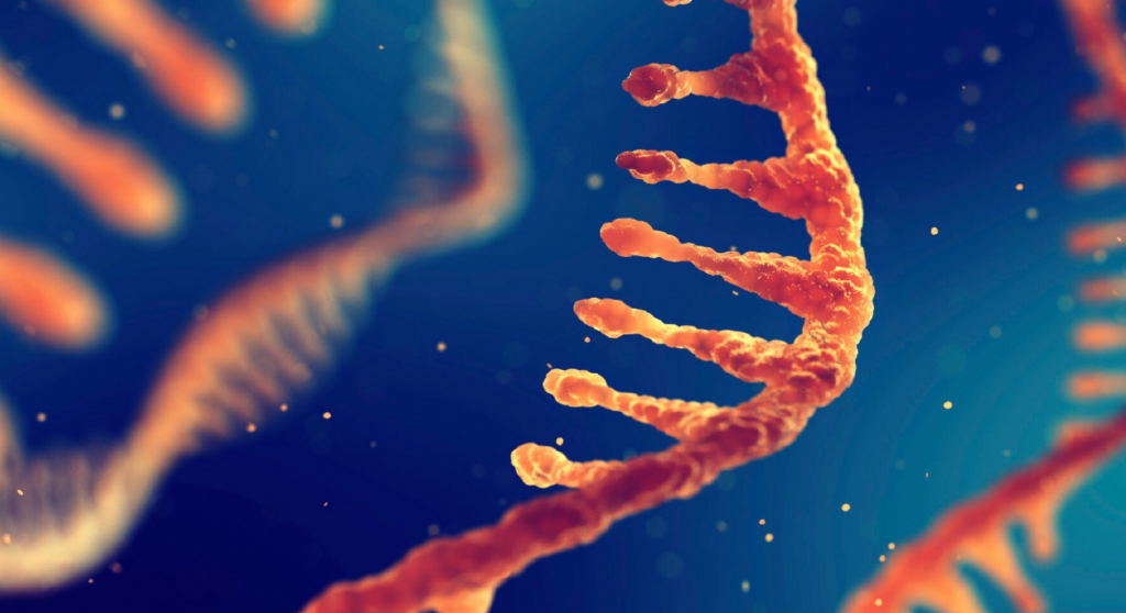 Έρπητας Ζωστήρας: Ποια τα συμπτώματα και πώς αντιμετωπίζεται