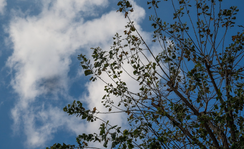 Καιρός: Ο πιο ζεστός Μάρτιος των τελευταίων 14 ετών