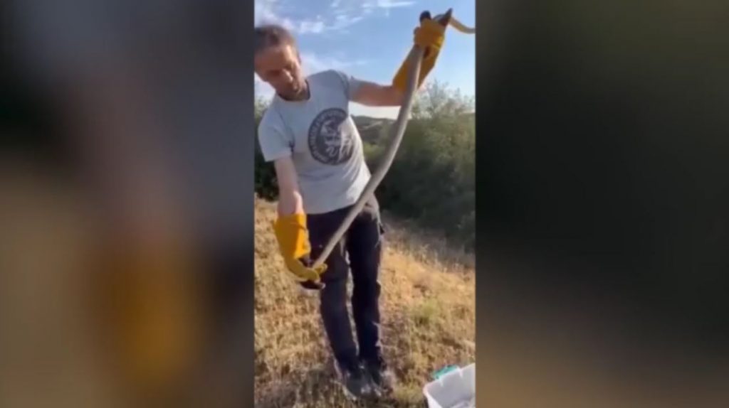 Θεσσαλονίκη: Φίδι δύο μέτρων «τρύπωσε» σε ντουζιέρα