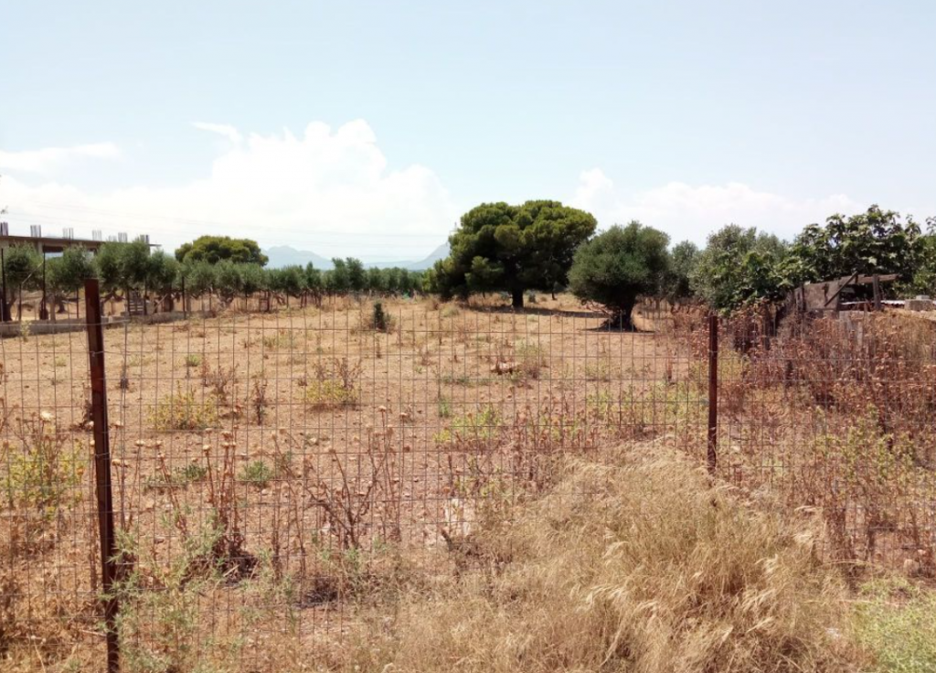 Ακαθάριστα οικόπεδα: 2 εκατ. ιδιοκτήτες ακινήτων τρέχουν για να προλάβουν την υποβολή των δηλώσεων τους στο gov.gr
