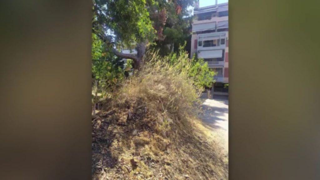 «Βραδυφλεγείς βόμβες» τα ακαθάριστα οικόπεδα – Μπαλάκι ευθυνών Δήμων και Δασαρχείων