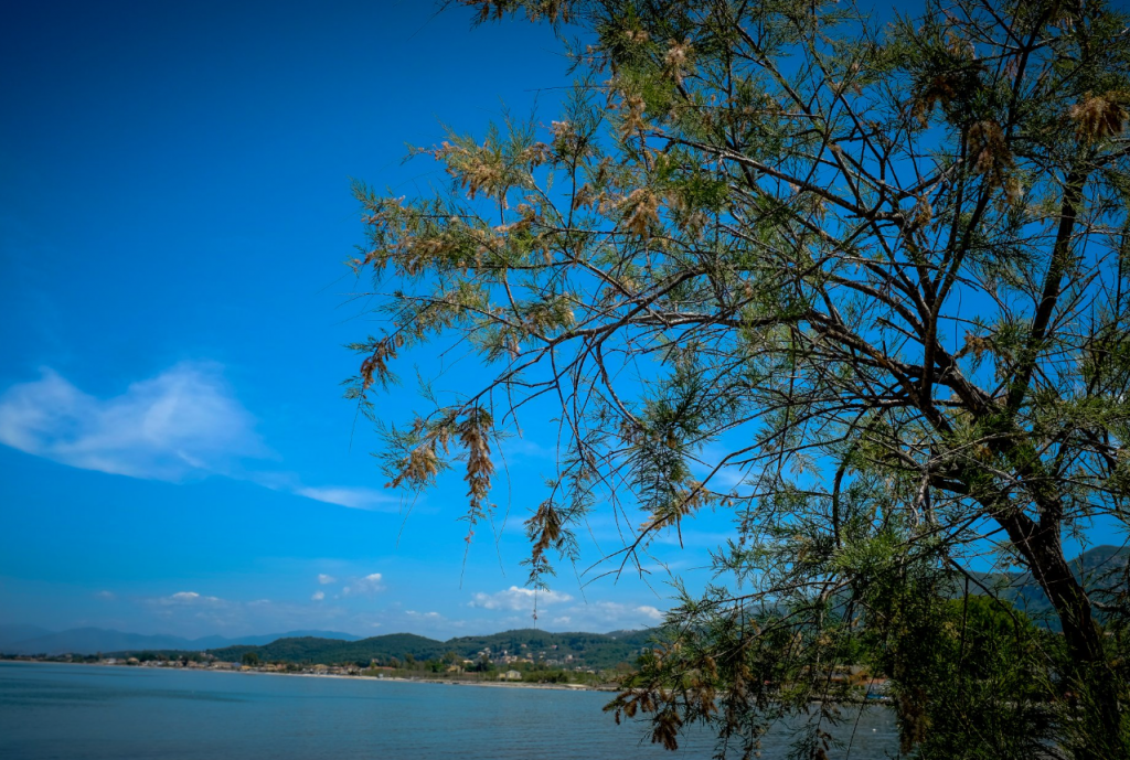 Σταδιακή άνοδος της θερμοκρασίας από την Τετάρτη – Στους 32 βαθμούς το Σαββατοκύριακο