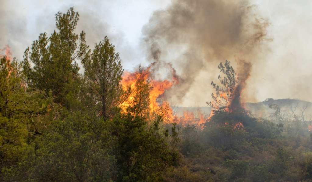 Βάρη: Σπίτια και επιχειρήσεις παραδόθηκαν στις φλόγες  – Εμπρηστής καταγράφηκε σε βίντεο να βάζει φωτιά