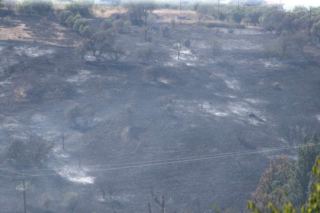 Θεσσαλονίκη: Καμένες εκτάσεις και πολλές ζημιές σε σπίτια από τη φωτιά στον Τρίλοφο