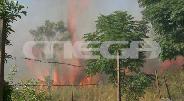 Το MEGA στο βόρειο Ισραήλ καταγράφει εικόνες από μπαράζ πυραυλικών επιθέσεων της Χεζμπολάχ