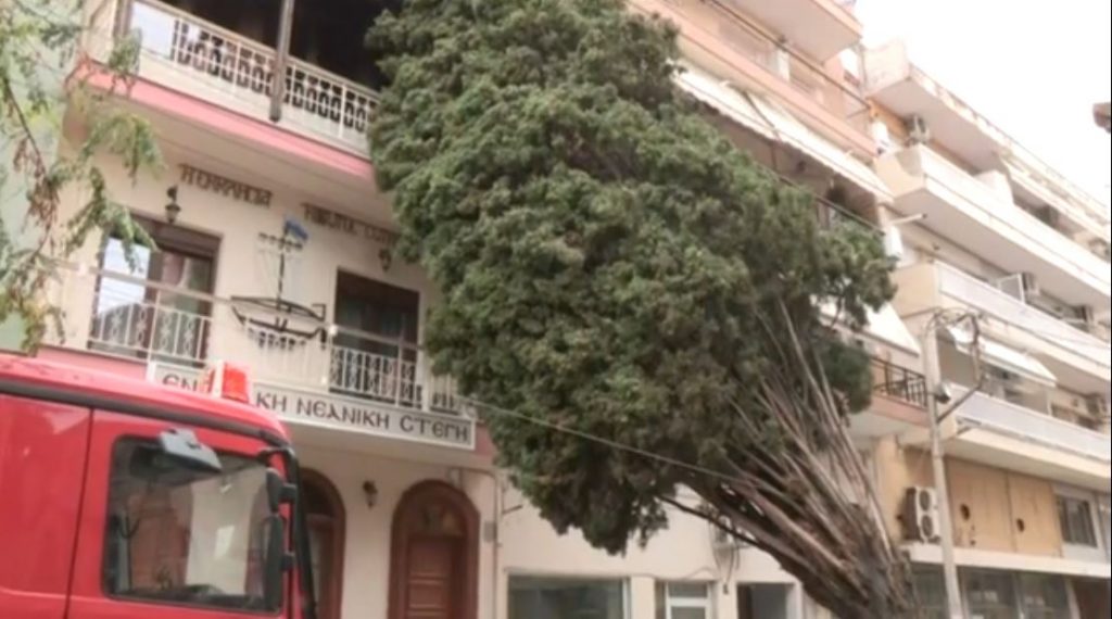 Άνω Τούμπα: Ξεριζώθηκε δέντρο και έπεσε πάνω σε πολυκατοικία