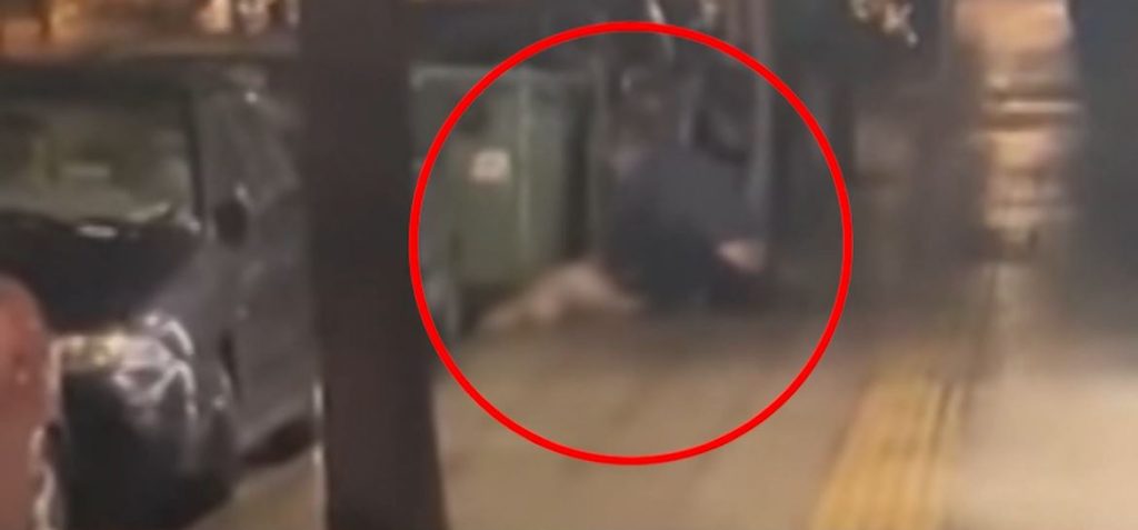 Κυψέλη: Δεν τα κατάφερε η ηλικωμένη σκυλίτσα που την μαχαίρωσε ο ιδιοκτήτης της