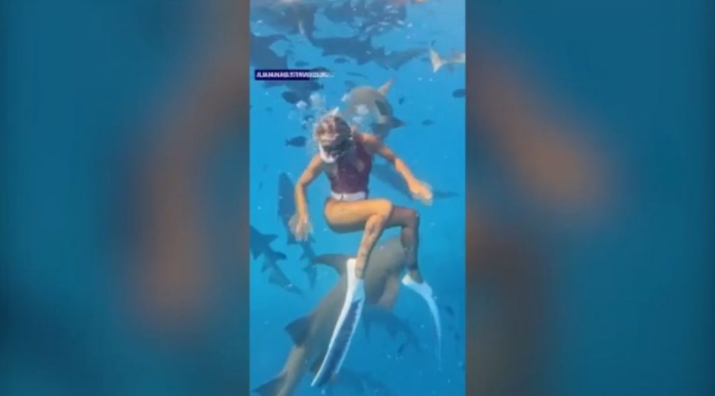 Μαλδίβες: Καρχαρίας δάγκωσε on camera Βραζιλιάνα influencer