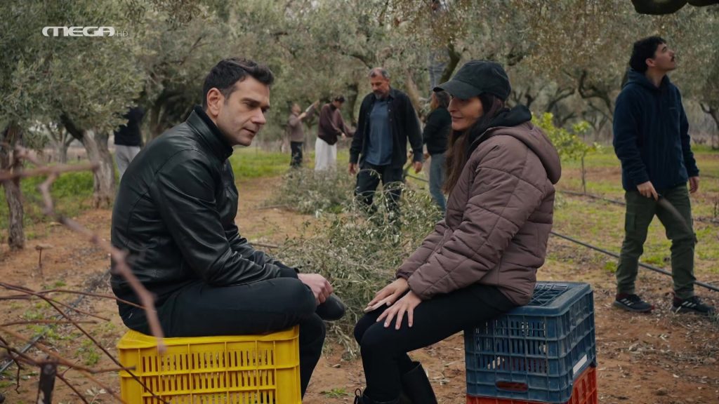 Η Γη της Ελιάς
