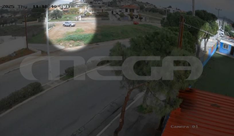 Λαύριο: Εξαρθρώθηκε σπείρα που είχε διαπράξει 24 κλοπές