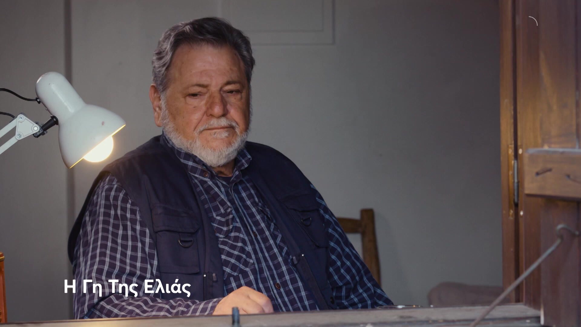 Η Γη της Ελιάς
