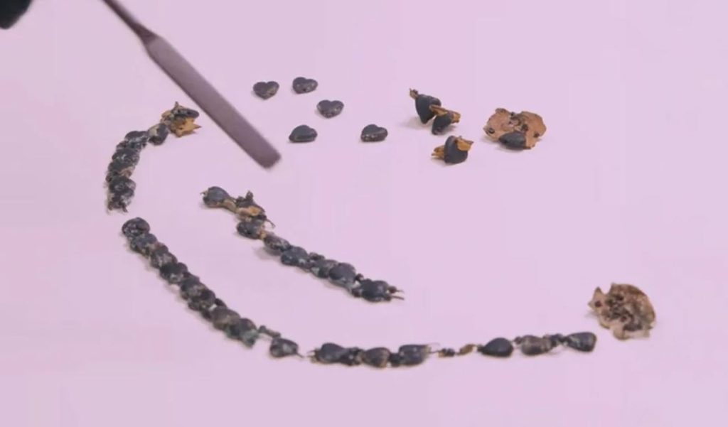 Αποκαλύφθηκε στο κοινό μαύρο γυάλινο κολιέ που παραπέμπει στον «Τιτανικό»