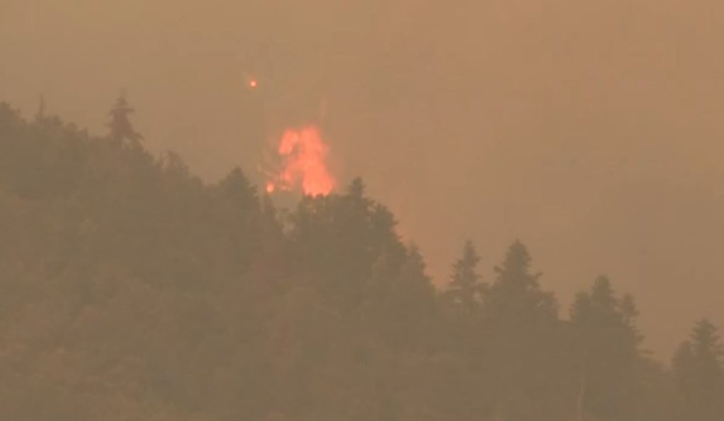 Φωτιά στον Φενεό Κορινθίας: Εκκενώθηκαν οικισμοί, ήχησε το 112 – Δύο συλλήψεις