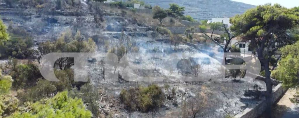 Φωτιά: Πώς εξελίσσονται τα πύρινα μέτωπα στην χώρα – Σε επιφυλακή η Πυροσβεστική