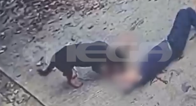 Καλαμάτα: Ροτβάιλερ κατασπάραξε τον κηδεμόνα του – Σοκαριστικό βίντεο