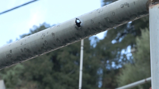 Βορίζια Κρήτης: «Ο Φ. Κ. φταίει και το πλήρωσε με τη ζωή του» – Η αδερφή της 56χρονης στο MEGA