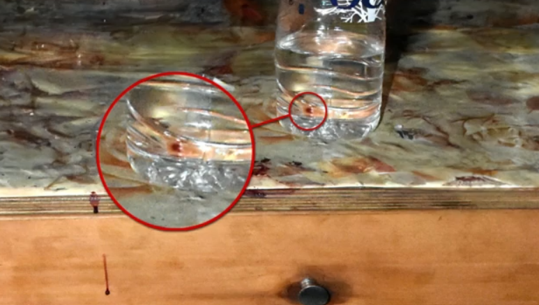 Λέσβος: Το «ορφανό» αποτύπωμα με το αίμα του λιμενικού στο μπουκάλι περιπλέκει το μυστήριο