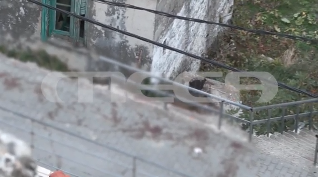 Κρήτη: «Βρέθηκε στο λάθος σημείο, τη λάθος ώρα»- Φίλη θύματος από το μακελειό στα Βορίζια μιλά στις «Εξελίξεις Τώρα»