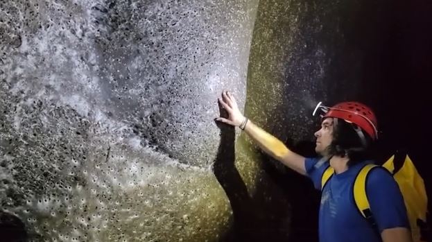 Στα σύνορα Ελλάδας – Αλβανίας ο μεγαλύτερος ιστός αράχνης στον κόσμο