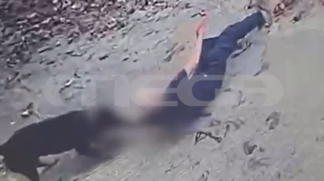 Καλαμάτα: Κρίσιμη η κατάσταση του 76χρονου που δέχθηκε επίθεση από το σκυλί του – «Είναι σοβαρά»