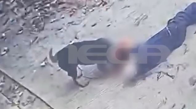 Καλαμάτα: Η στιγμή της επίθεσης σκύλου στον ιδιοκτήτη του – Κρίσιμη η κατάσταση του 76χρονου