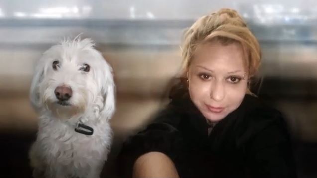 Θεσσαλονίκη: «Δεν έχουμε καμία ανάμειξη σε διαδικασίες που…» – Η απάντηση της φιλοζωικής για το σκυλάκι της Βίκυς Κουτσάκη