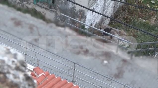 Κρήτη: «Πόλεμος» στα Βορίζια Ηρακλείου με νεκρούς & τραυματίες – Αναβίωσε βεντέτα μεταξύ δύο οικογενειών