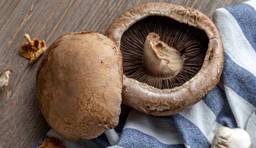 Θεσσαλονίκη: Ζευγάρι έφαγε μανιτάρια και νοσηλεύεται στο ΑΧΕΠΑ με οξεία ηπατική ανεπάρκεια