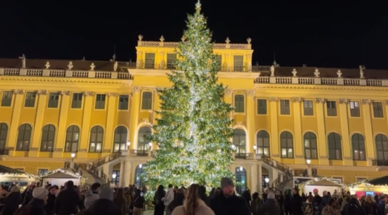 Αυστρία: Άνοιξε η χριστουγεννιάτικη αγορά της Βιέννης – Εκατοντάδες κάτοικοι & τουρίστες στους δρόμους