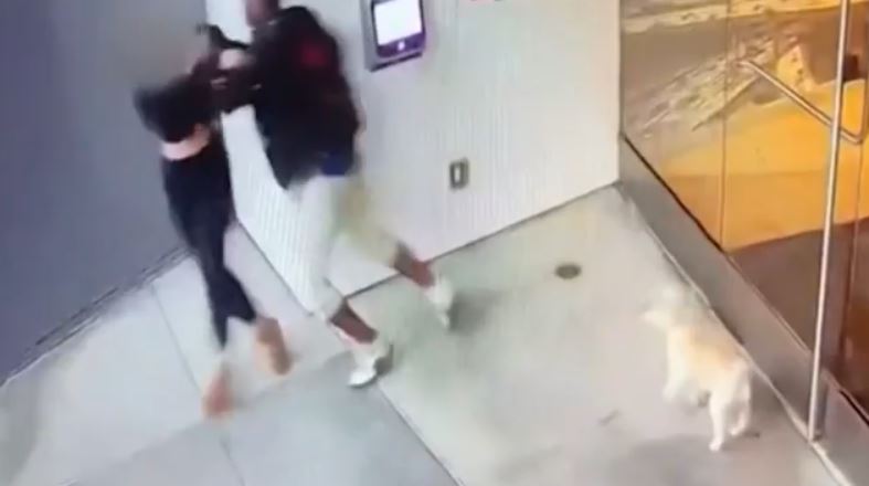 ΗΠΑ: Άστεγος επιτέθηκε σεξουαλικά σε γυναίκα στο Λος Άντζελες