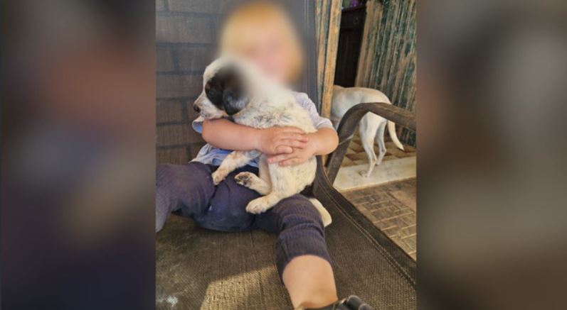 Ζάκυνθος: Τι λένε εκπαιδευτές σκύλων για το περιστατικό με τον θάνατο του 2χρονου μετά από επίθεση σκύλου