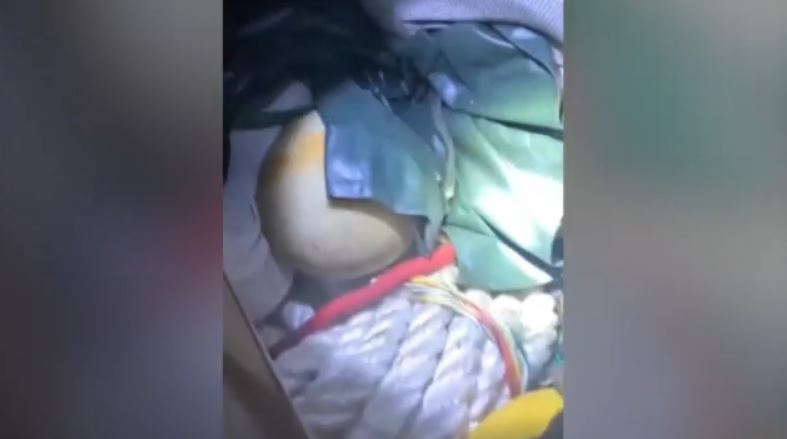 Το ρεσάλτο του γαλλικού Πολεμικού Ναυτικού στο πλοίο του «Έλληνα Εσκομπάρ» – Βίντεο ντοκουμέντο