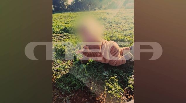 Ζάκυνθος: Πίτμπουλ κατασπάραξε 2χρονο αγοράκι