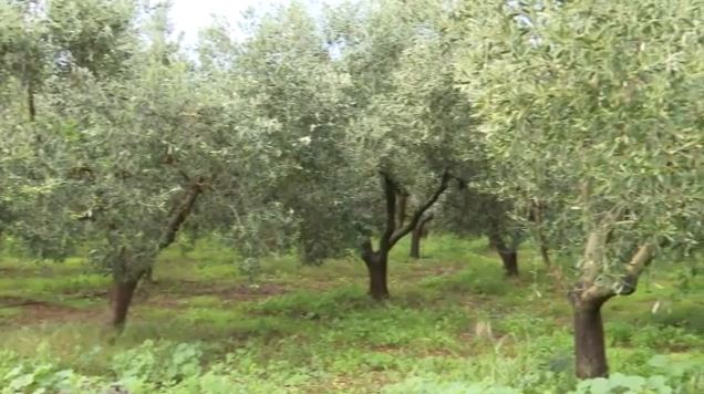 Η δραματική έκκληση αγροτών & κτηνοτρόφων που παλεύουν να επιβιώσουν