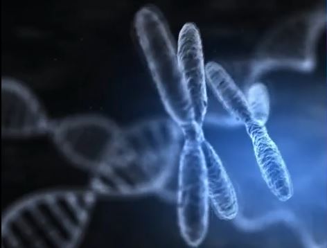 «Θρίλερ» με τον Δανό δότη σπέρματος – Το καρκινογόνο γονίδιο & ο παγκόσμιος συναγερμός