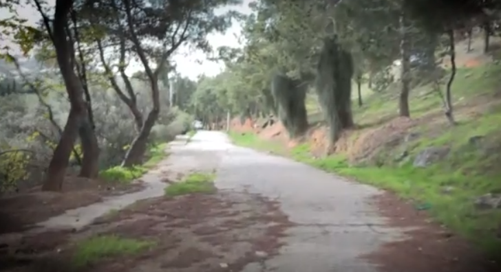 Φιλοθέη: Ραντεβού κατέληξε σε σκηνικό τρόμου – Έστησαν ενέδρα σε 20χρονο με «δόλωμα» μία γυναίκα