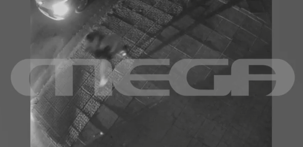 Μιχάλης Κατρίνης: Βίντεο ντοκουμέντο από τη σύλληψη του 16χρονου γιου του μετά από καταδίωξη – Οδηγούσε χωρίς δίπλωμα