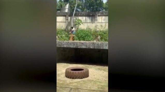 Βραζιλία: Λιοντάρι κατασπάραξε 19χρονο που εισέβαλε στον χώρο του στον ζωολογικό κήπο