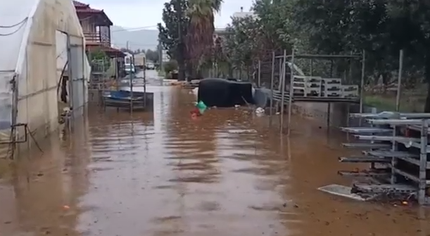 Καιρός: Σάρωσε τη χώρα η κακοκαιρία «Byron» – Εφιαλτικές εικόνες από Μάνδρα, Νέα Πέραμο & Αττική