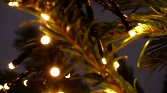 Χριστούγεννα σε όλο τον κόσμο με μηνύματα ειρήνης & αγάπης