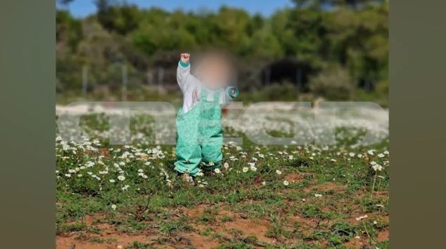 Ζάκυνθος: Πίτμπουλ κατασπάραξε αγοράκι 2 ετών στην αυλή του σπιτιού του