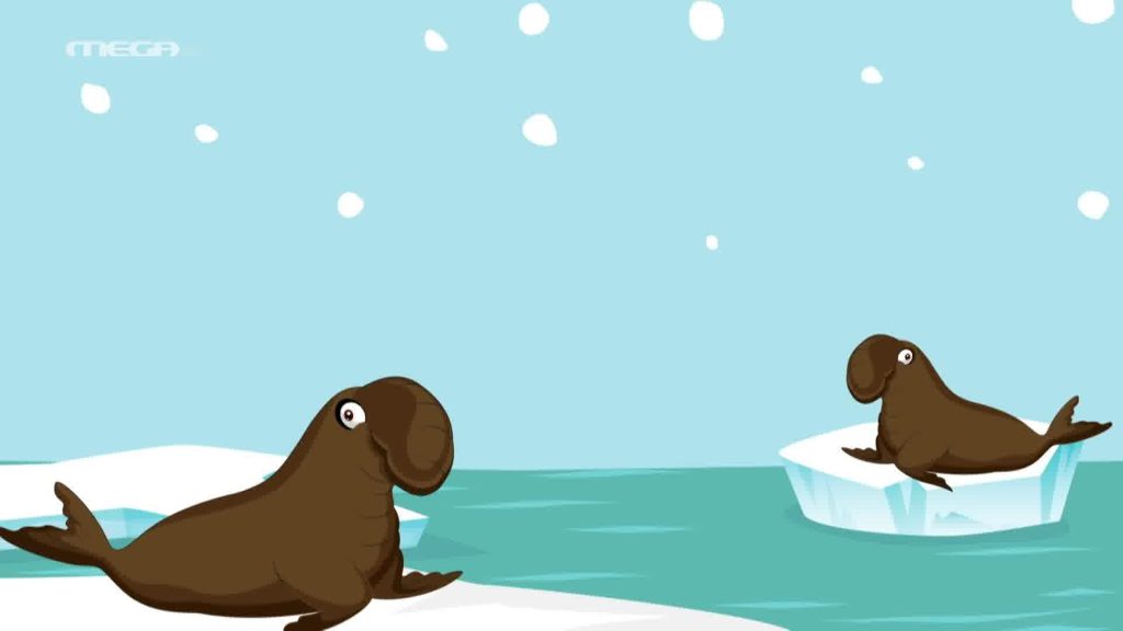 Βλέπω και Μαθαίνω | Τα Ζωάκια των Πόλων 3 - 