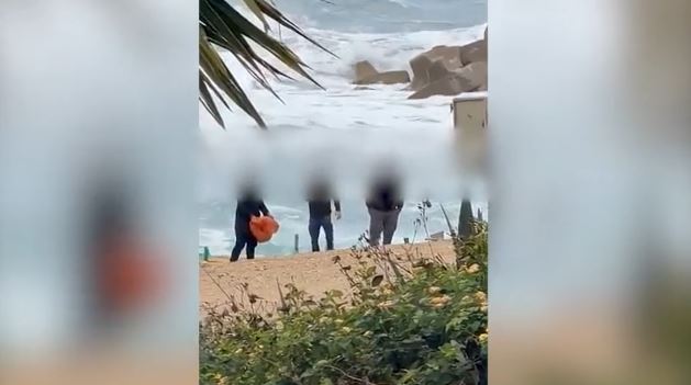 Κύπρος: Συνελήφθησαν οι υπάλληλοι που κλωτσούσαν & πετούσαν το κουφάρι θαλάσσιας χελώνας