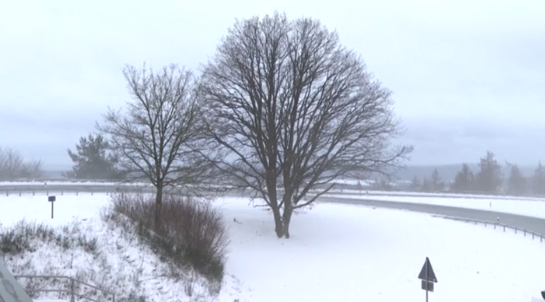 Σφοδρό κύμα κακοκαιρίας πλήττει τη Γερμανία