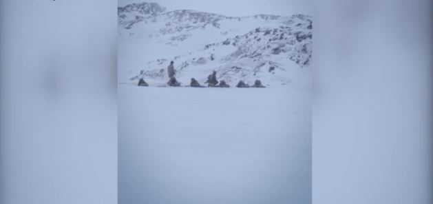 Το MEGA στη Γροιλανδία – Ευρωπαίοι στρατιώτες εκπαιδεύονται για μάχες σε πολικές συνθήκες