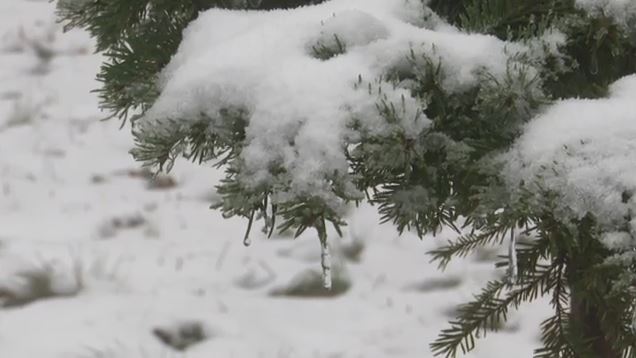 Καιρός: Στο «έλεος» της κακοκαιρίας η χώρα – Σε ποιες περιοχές δεν θα ανοίξουν τα σχολεία